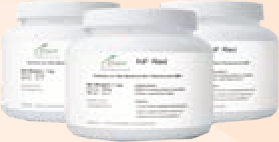 ZChek-NF Red Colored Non-fluorescent Magnetic Particles